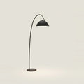 Black Metal Arc Floor Lamp, Dimmable, on a light background