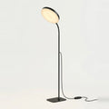 LED Reading Floor Lamp with Flexible Gooseneck, Dimmable, on a light background