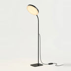 LED Reading Floor Lamp with Flexible Gooseneck, Dimmable, on a light background